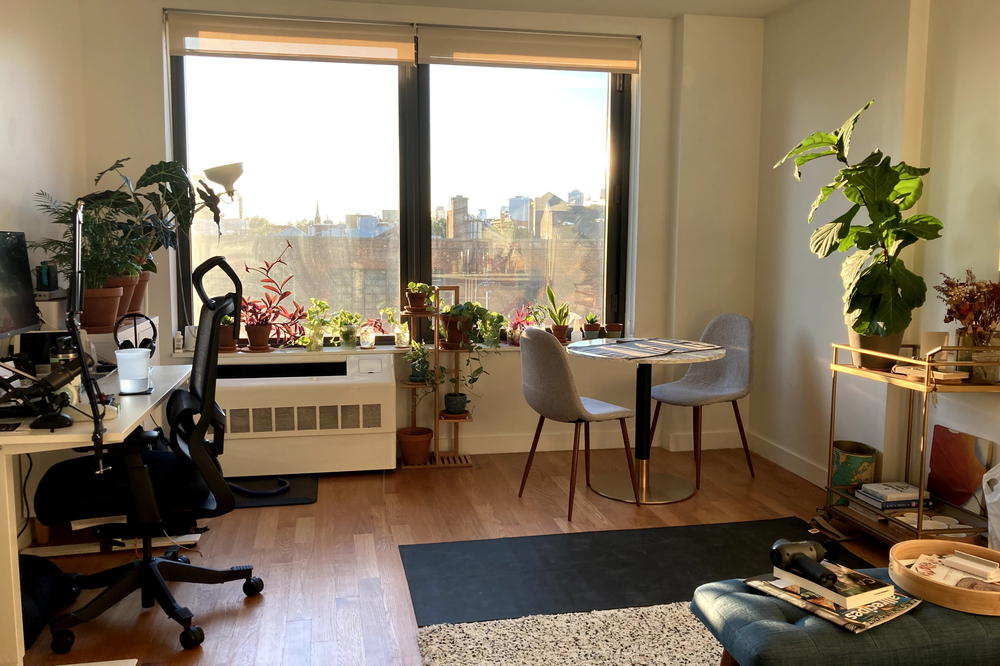 A room with a desk, chair and plants.