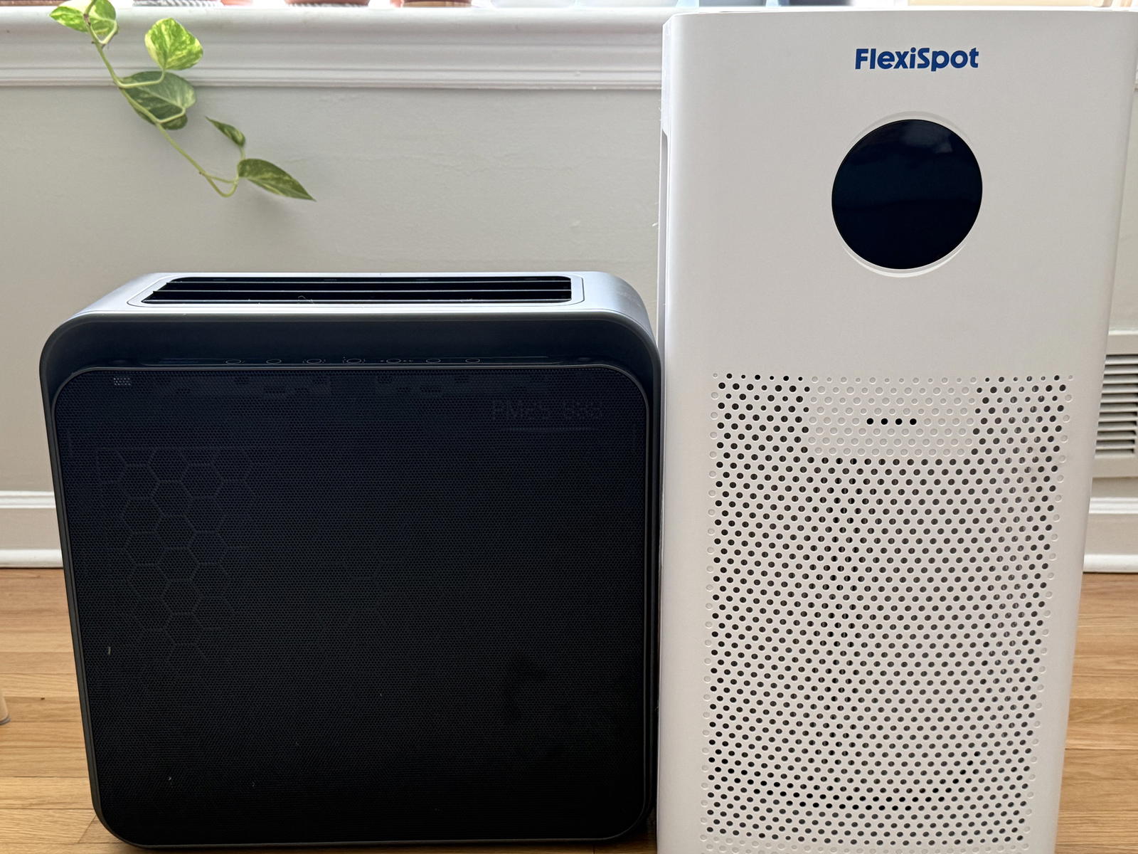 FlexiSpot Air Purifier Review: Which one to pick