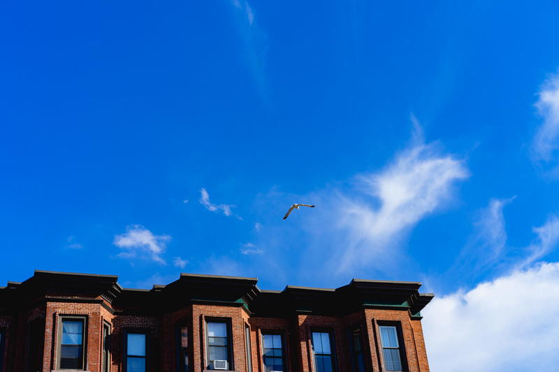 A bird flies over a building.