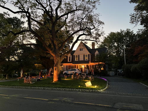A house with a tree in front of it at dusk.