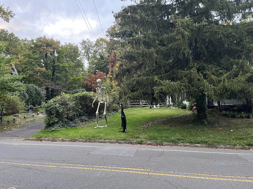 A street with a street sign and a tree in the background.